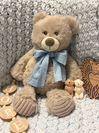 Weighted Bears for Remembrance