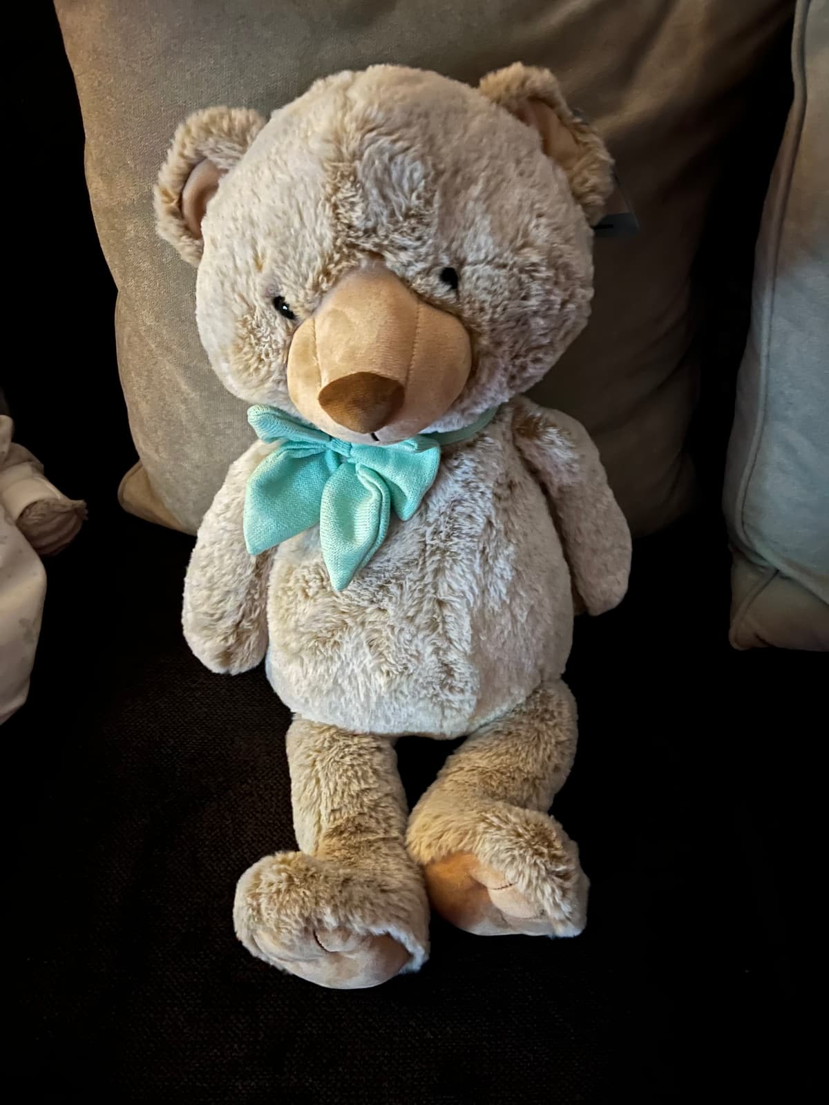 Donate a bear for families experiencing loss